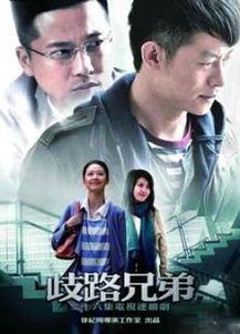 歧路兄弟演员表,揭秘演员阵容，演绎情感纠葛与成长历程