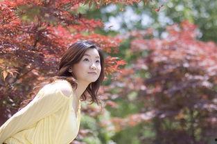 莉香的图片,时尚与魅力的完美融合