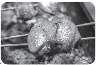 烤焦的图片,烤焦美食的独特魅力